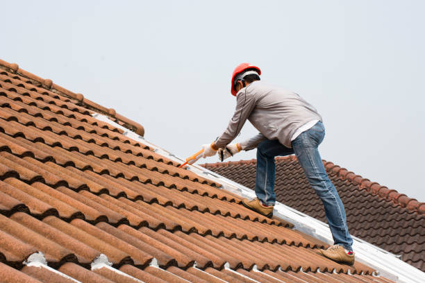 Gutter Replacement in Assumption, IL