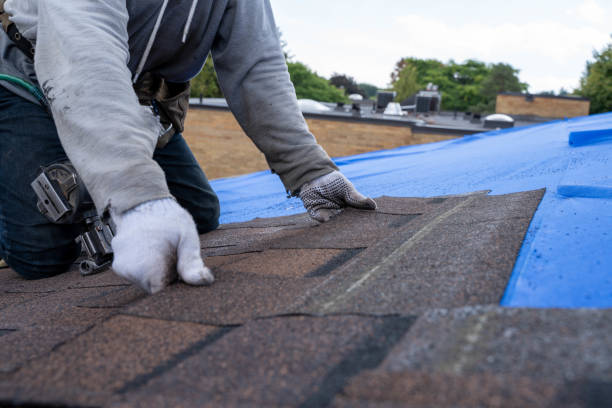 Fast & Reliable Emergency Roof Repairs in Assumption, IL