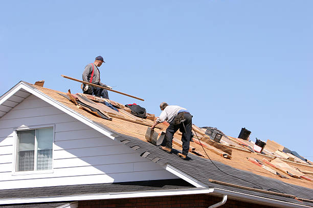 Best Asphalt Shingle Roofing  in Assumption, IL